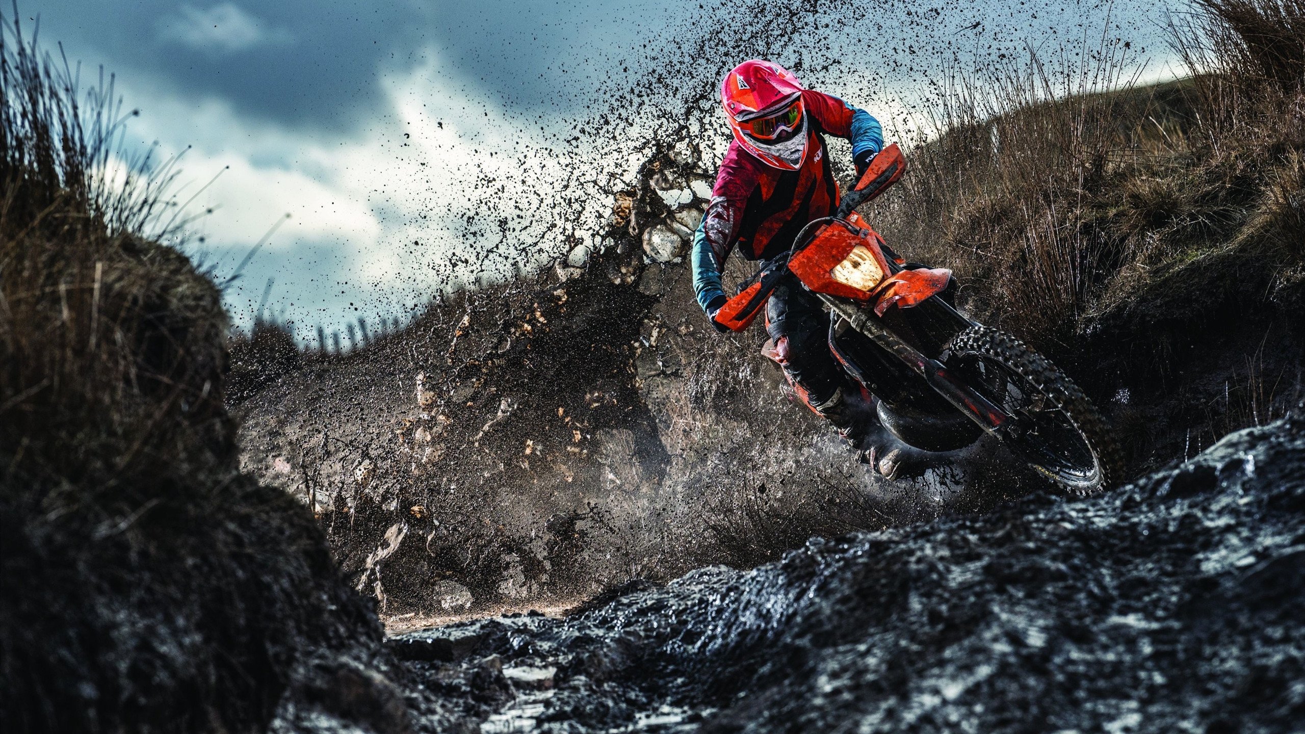 德甲争冠战之夜，爱德华兹硬仗之王