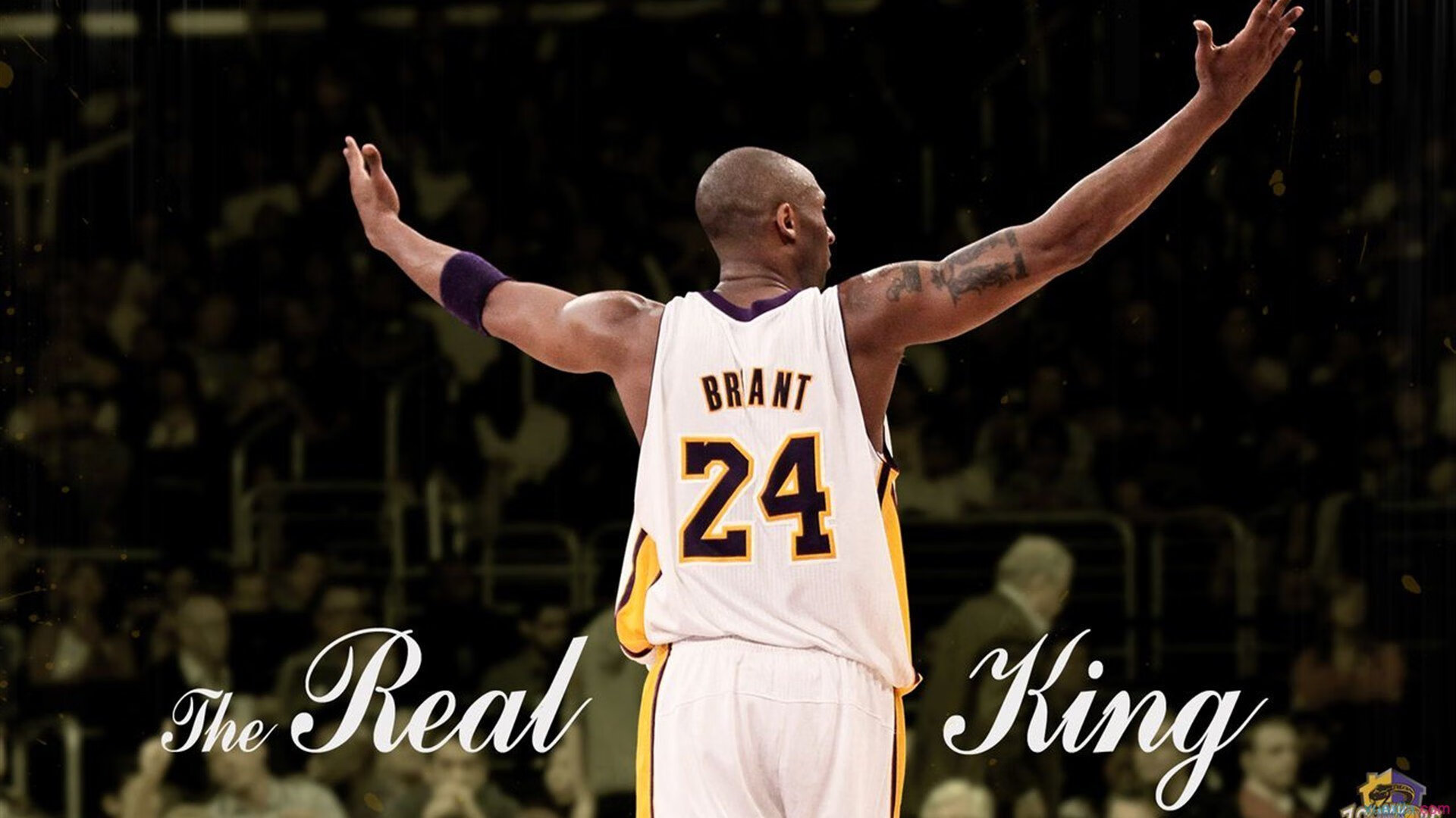 字母哥的史诗之战,希腊硬汉如何在总决赛焦点战中击溃土耳其铁骑